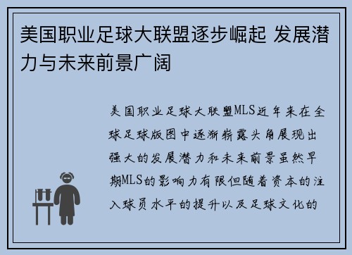 美国职业足球大联盟逐步崛起 发展潜力与未来前景广阔